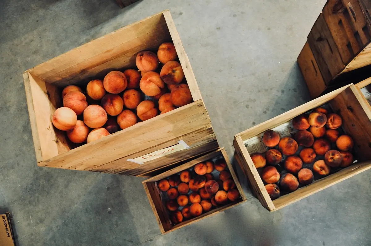 The UK Fruit and Veg Ripening Calendar: Month-by-Month Guide