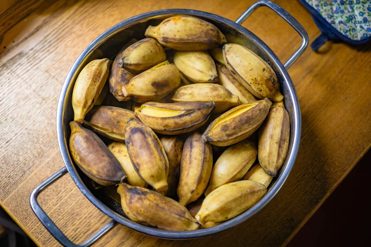 Why Bananas Turn Brown So Fast: A Beginner's Guide to Ethylene Gas